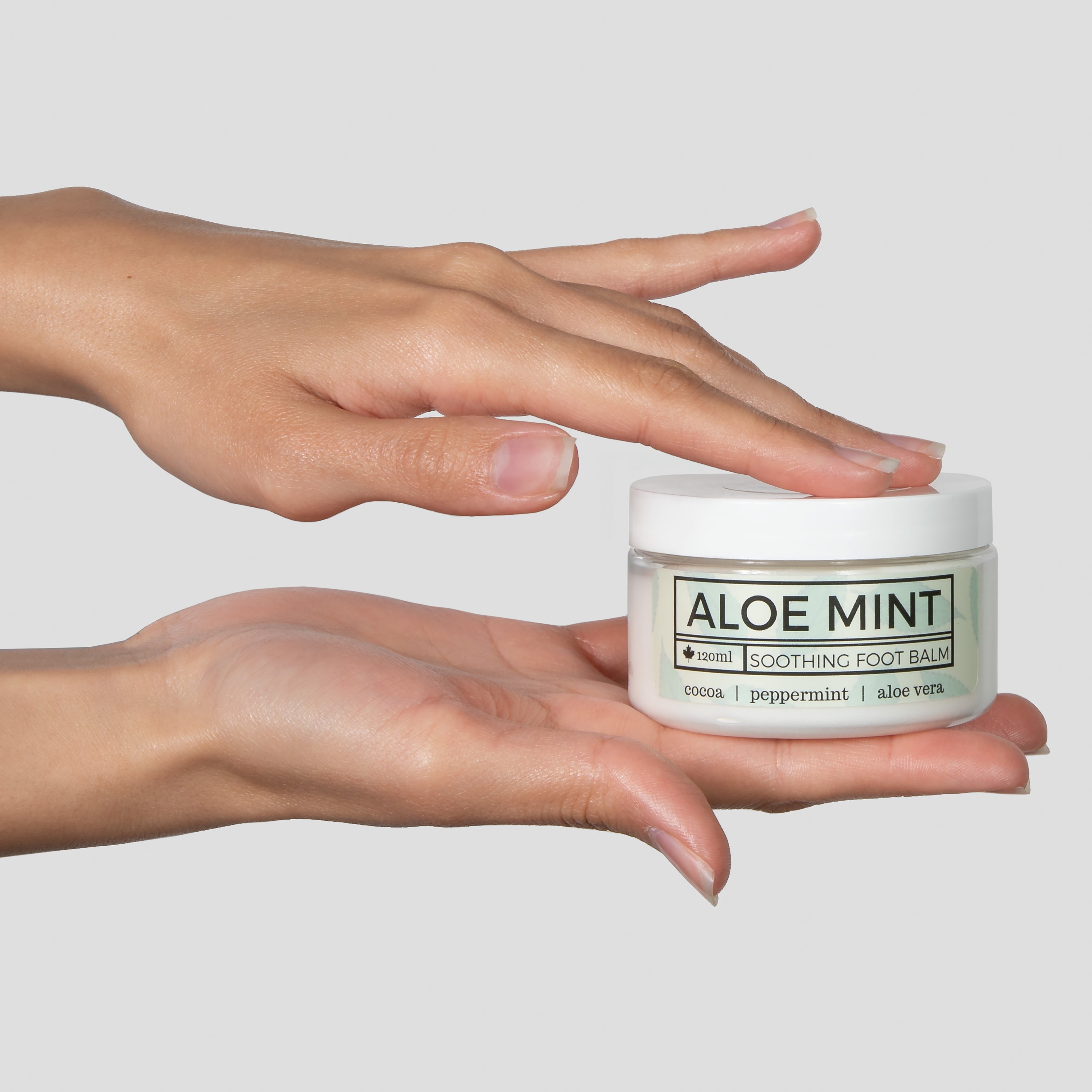 Aloe Mint Foot Balm - Parkdale Butter