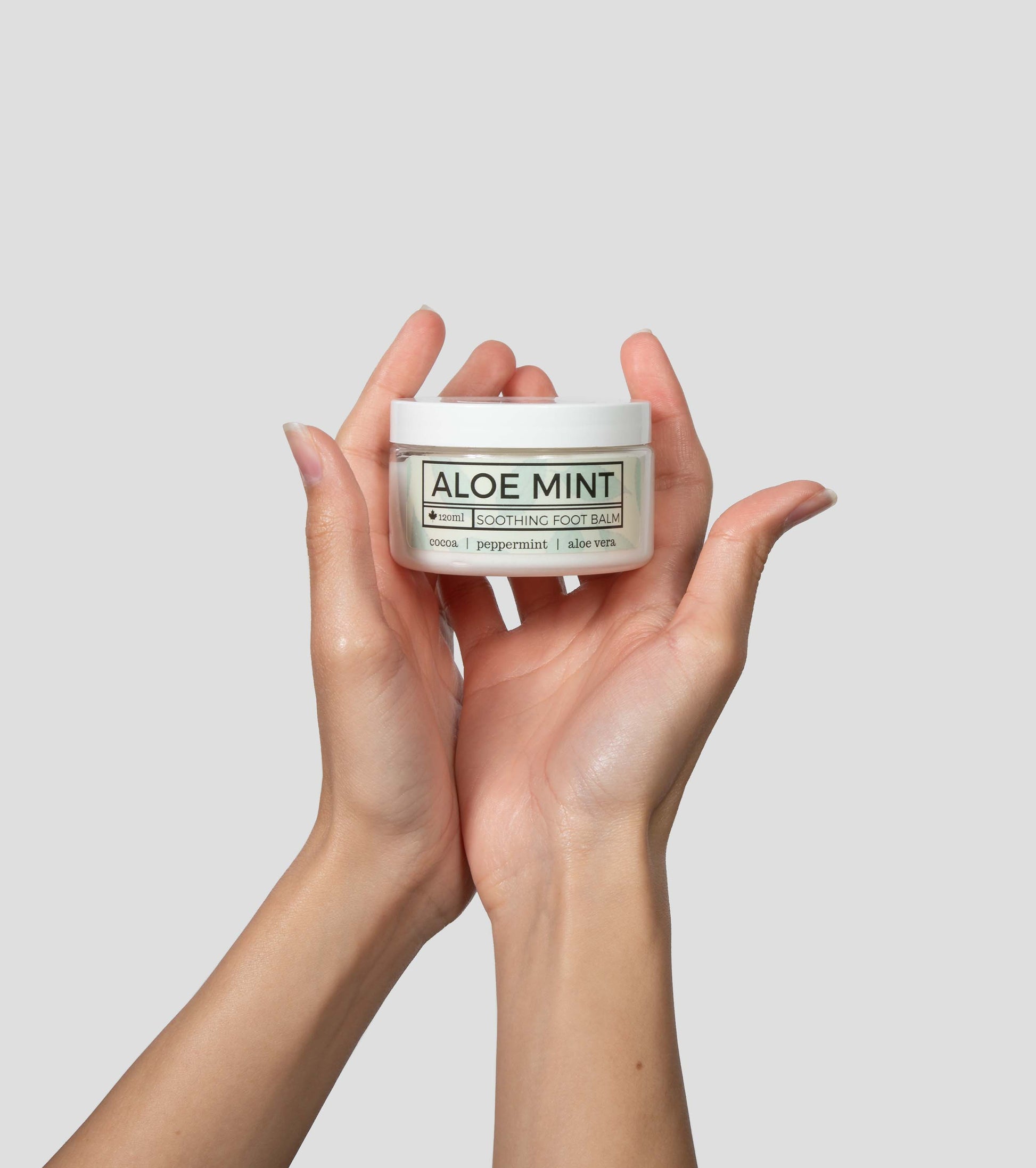Aloe Mint Foot Balm - Parkdale Butter