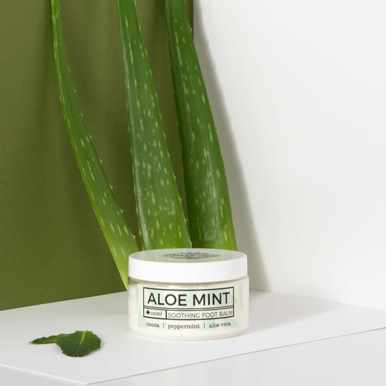 Aloe Mint Foot Balm - Parkdale Butter