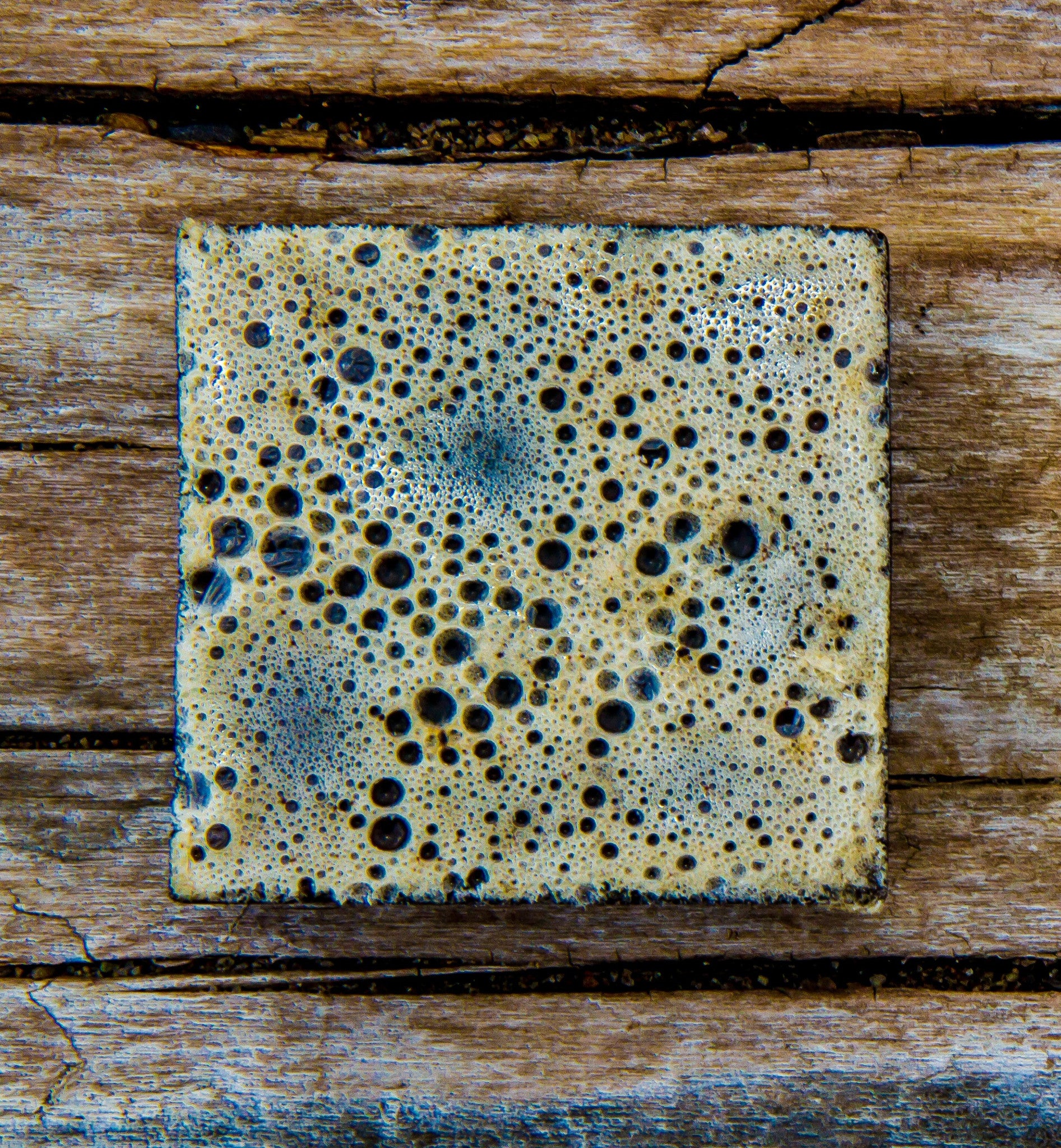 True Brew Exfoliating Soap - Parkdale Butter